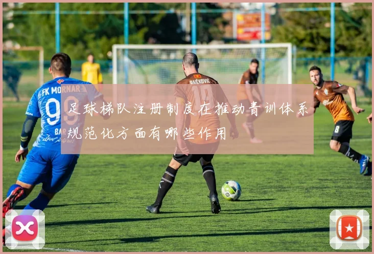 足球梯队注册制度在推动青训体系规范化方面有哪些作用